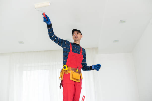 Best Post-Construction Mold Inspection  in Avodo Heights, CA