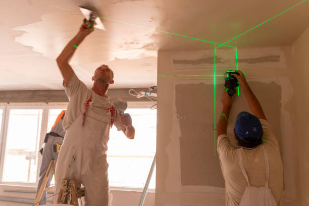 Best Attic Mold Removal  in Avodo Heights, CA