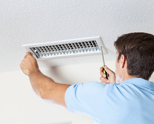 Best Water Damage & Mold Remediation  in Avodo Heights, CA